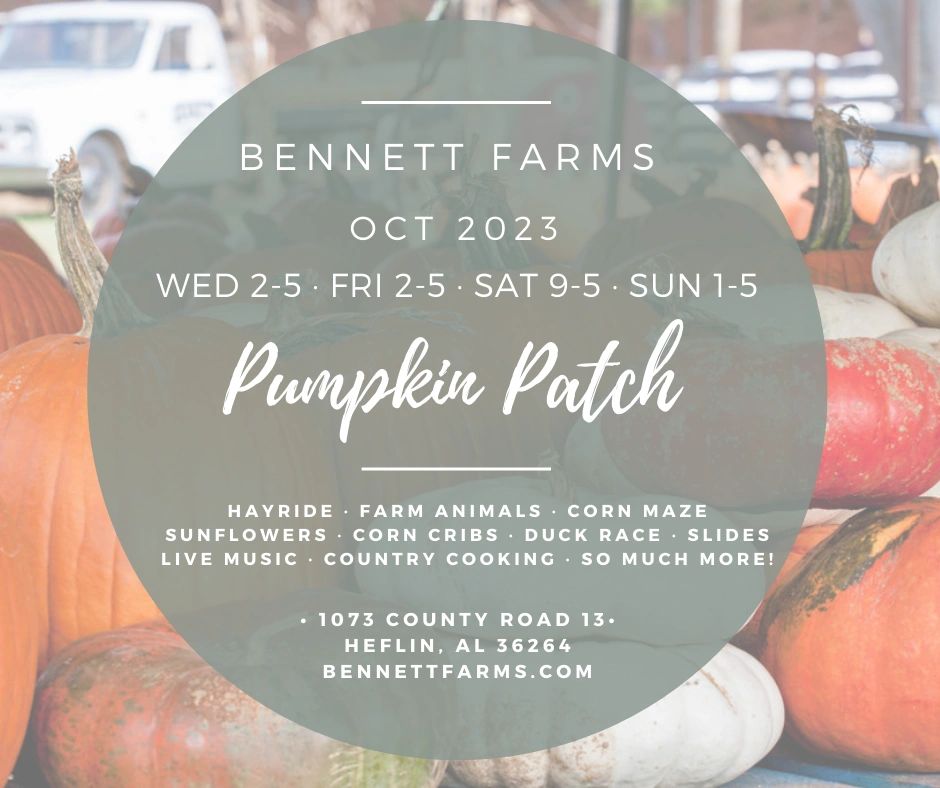 Farms Pumpkin Patch, Pumpkins, Farm